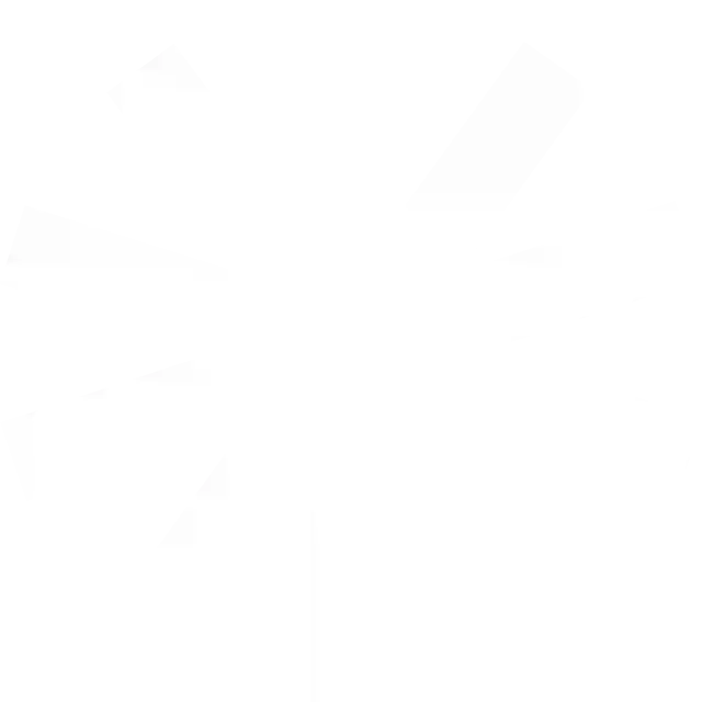 white-asterisk
