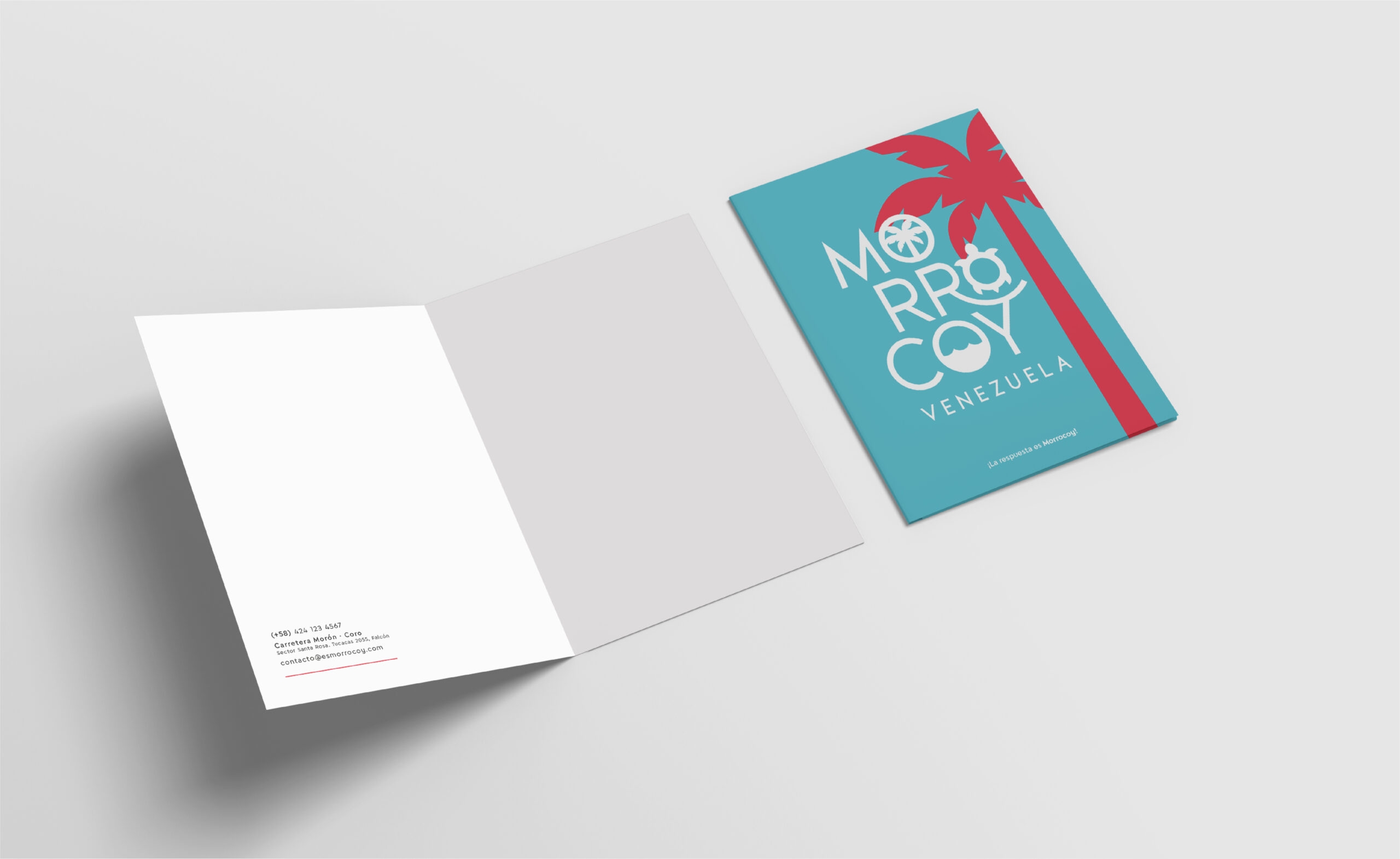 folleto morrocoy